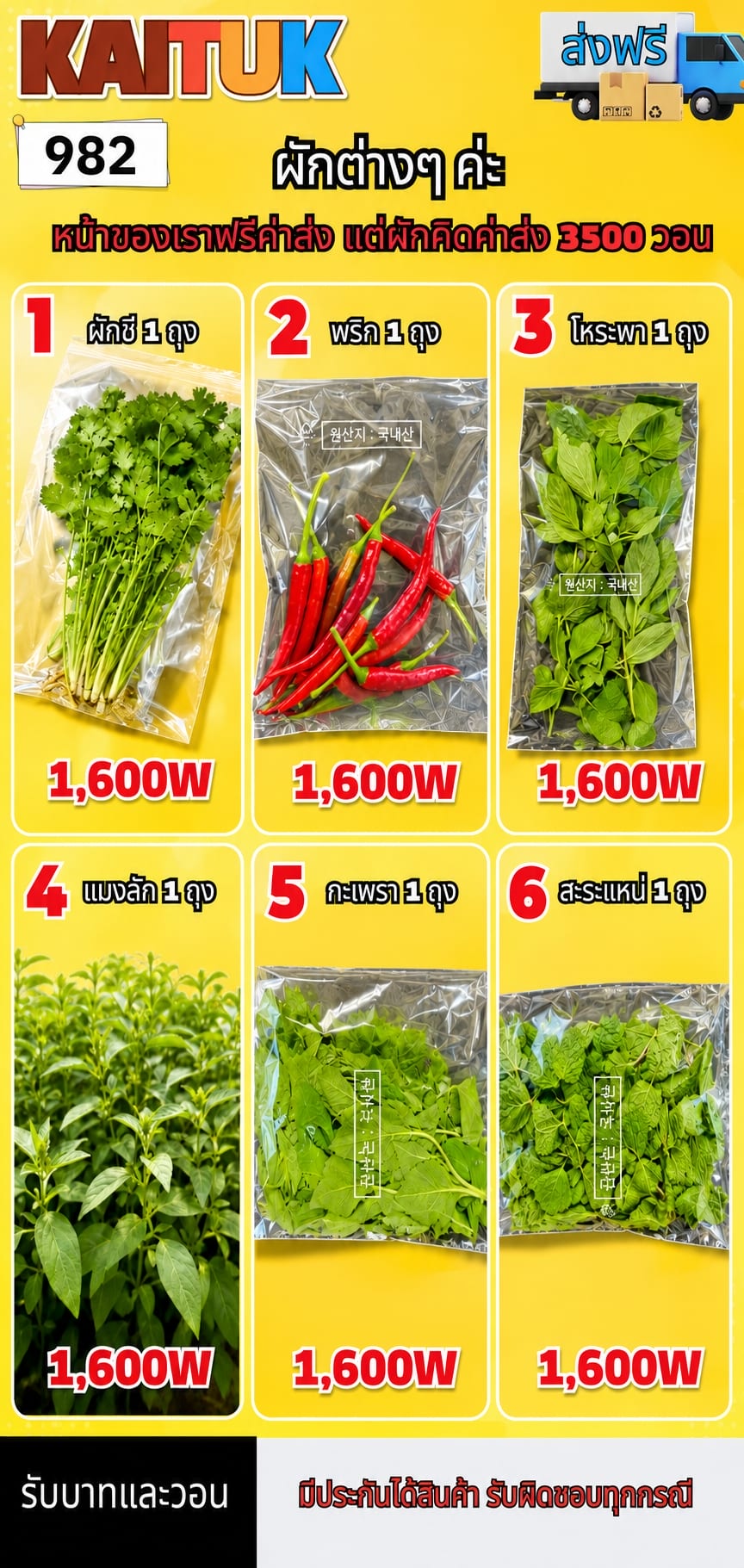 ผักและสมุนไพรไทย 6 แบบ