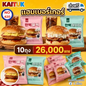 เบอร์เกอร์เกาหลีแช่แข็ง 10 ชิ้น 2 รส