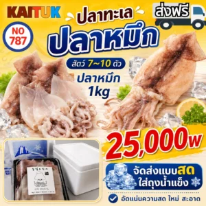 ปลาหมึกสดแช่แข็ง 1 กก. (7–10 ตัว)