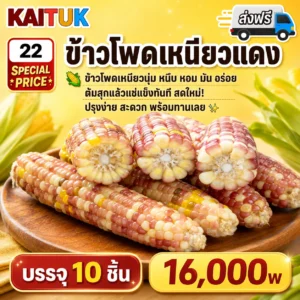 ข้าวโพดเหนียวแดง 10 ฝัก
