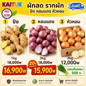 ขิง หอมแดง และหอมหัวใหญ่