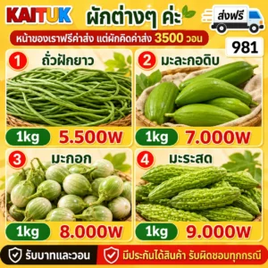 ผักสดไทย 4 แบบ 1 กก.
