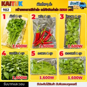 ผักและสมุนไพรไทย 6 แบบ