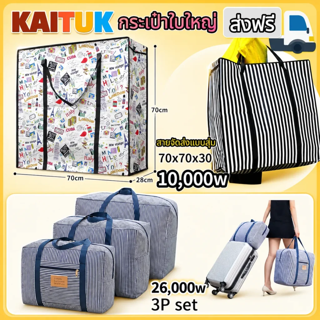 กระเป๋าย้ายของ